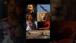 Leo, Thalapathy67 Eagle, lion LCU #thalapathyvijay #lokeshkanagaraj #leo