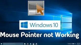 Mouse Cursor not working or disappeared in Windows 10,7,8 Solution., Simple Solution