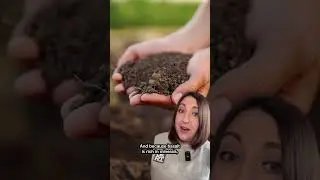 Can crushed rocks help us fight climate change?