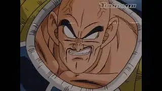 DBZ sayian saga (toonami fan promo)