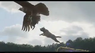Strays (2023) - How could this get worse?
