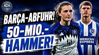 HSV NEWS! BARÇA REJECTION! Lotta Wrede stays – Luka Vušković triggers a 50 million bombshell!