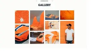 How to Use the Image Carousel Widget - Elementor By Freelancre Sobuz