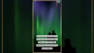 Dancing Skies: The Enchanting Aurora Light Show