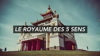 EP 2 : Le royaume des 5 sens - Les chroniques de l’instant présent