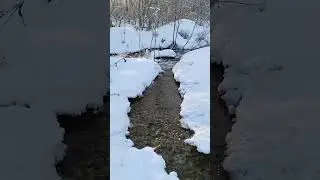 19 марта 2023 г.