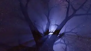 INTO THE DARK - Frédéric Gerchambeau/Philippe Wauman