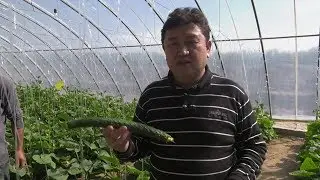 Акыл заман\Абидин жана агрохимия..