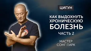 Как выдохнуть хроническую болезнь из тела | Часть 2  | Мастер Сонг Парк | Академия Киайдо