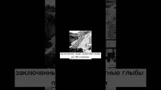 Заключённые тащат гранитные глыбы по лестницы смерти» в концлагере Маутхаузен #shorts #история#факты