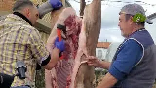 Despiece del Cerdo en la XX Fiesta de la Matanza de Alcaracejos