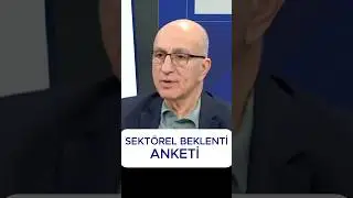 Sektörel Beklenti Anketi 