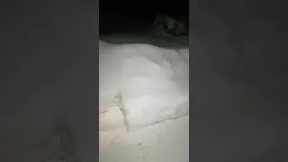 Саракташ.Оренбургская область.Видео Горбунова Игоря.8 февраля 2024 год.