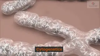 Cytogenetics