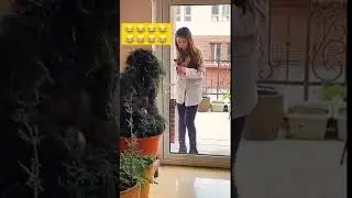 The invisible camera man 😂📷 PART 2 