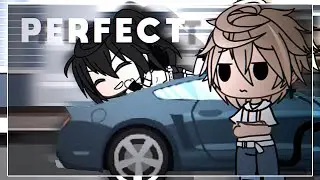 :: perfect | glmv ||
