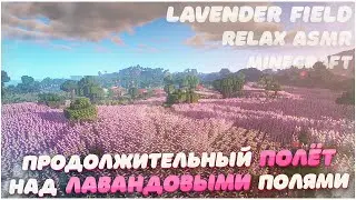 ASMR in minecraft | lavender field | LOFI relax