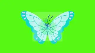 Butterfly Green Screen | Bloxx Green Screen