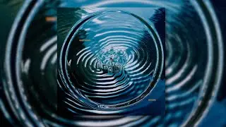 What So Not & Habstrakt - Realise (feat. Maiah Manser)