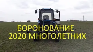 Боронование экспарцета 2020