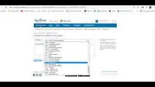 Күнделік толтыру бойынша нұсқаулық  Инструкцияя по заполнению Кунделик