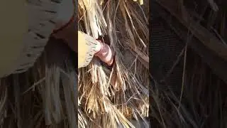 мой скрадок для охоты.