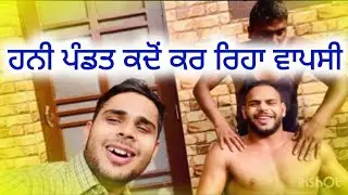 Honey pandit Speedy Recovery ਪੰਡਤ ਕਦੋਂ ਕਰ ਰਿਹਾ ਗਰਾਊਂਡਾਂ ਵਿੱਚ ਵਾਪਸੀ