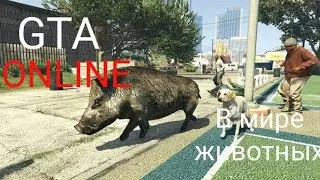 GTA ONLINE В МИРЕ ЖИВОТНЫХ.