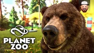 O Habitat dos Ursos Cinzentos | Planet Zoo #08 | Gameplay pt br