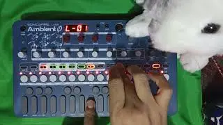REVIEW SINTETIZADOR LIVEV AMBIENT 0 🎧🎧