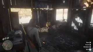 Red Dead Redemption 2 femme dans les flammes