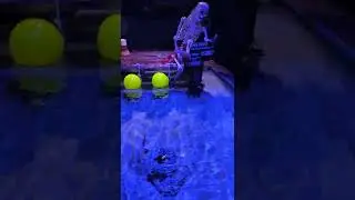 he walked the plank