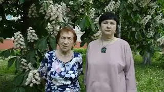 С Днем социального работника!
