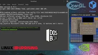 DOSBox Linux Flatpak OpenGL Full Screen Render Fix for Nvidia Proprietary Drivers