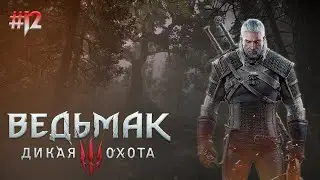 Ведьмачим в воскресенье | Ведьмак 3 Дикая охота | Прохождение The Witcher 3: Wild Hunt
