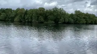 Sweet sound of tranquility