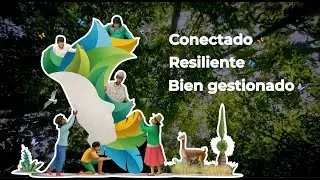 NUEVO PLAN DIRECTOR