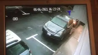 Car Thief, Vancouver, 20210806