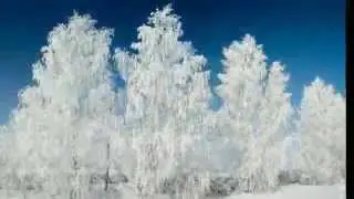 Нам Небо дарит хлопья чистоты, Светлана Малова