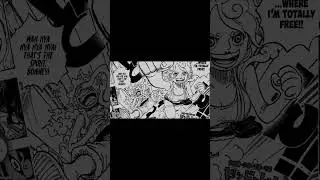 One Piece Chapter 1118 Spoilers!!⚠️