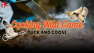 Cooking Wild Game