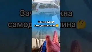 #самодисциплина #еленамихееваsw #сибирскоездоровье #удаленка #заработок #сетевой #млм #допдоход