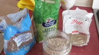 Parrot nutrition part 5. How to cook porridge for a parrot