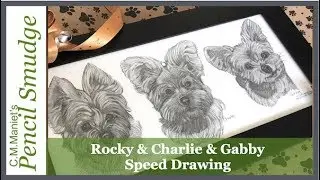 Pencil Smudge Rocky Charlie & Gabby