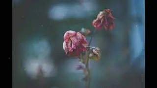 (FREE) JUICE WRLD X LIL SKIES TYPE BEAT SAD RAP INSTRUMENTAL