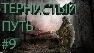 Прохождение Stalker Тернистый Путь #9