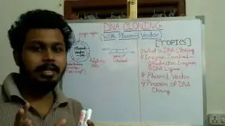 DNA cloning | Process of DNA cloning by plasmid vector