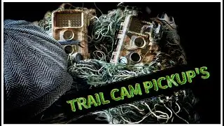 UK WildLife Trail Cam Pickup's