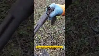 В посадке нашли любимую игрушку из СССР