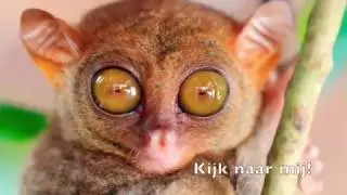 Ik Ben aan De Beurt